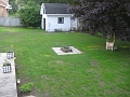 Back Lawn - Day 18